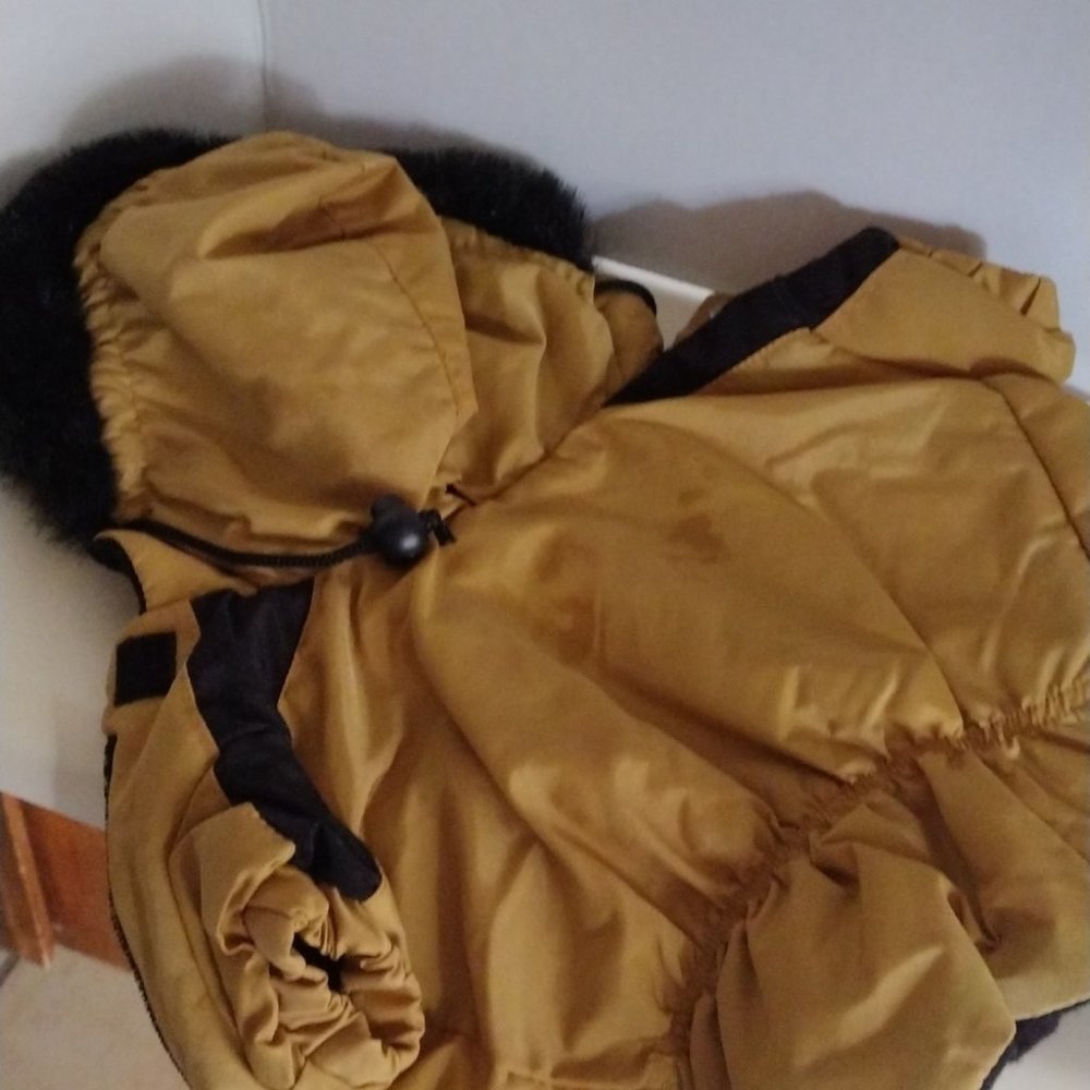 Dog Coat - Picture 4 of 4